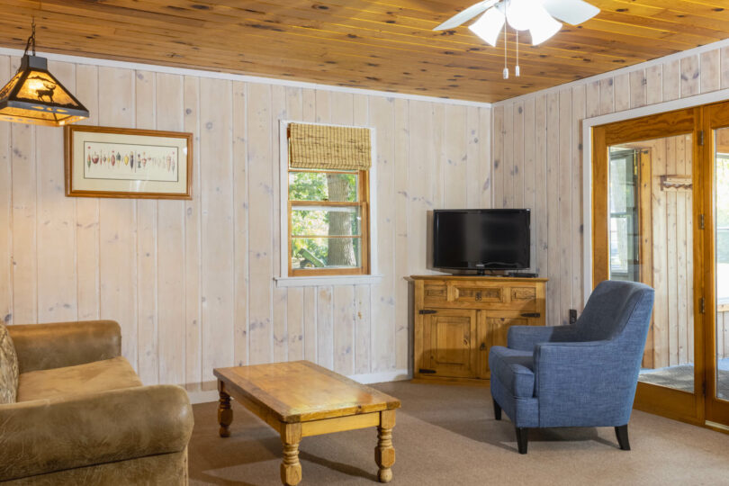 Cabin Woodlands Living Room